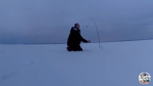 Зимняя рыбалка на вицы в затопленном лесу.