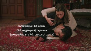 Содержание 13 серии (86 турецкая) третьего сезона сериала Зимородок" (РФ, 2024 / 2025)