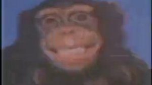 Взлом канала Карусель 2015