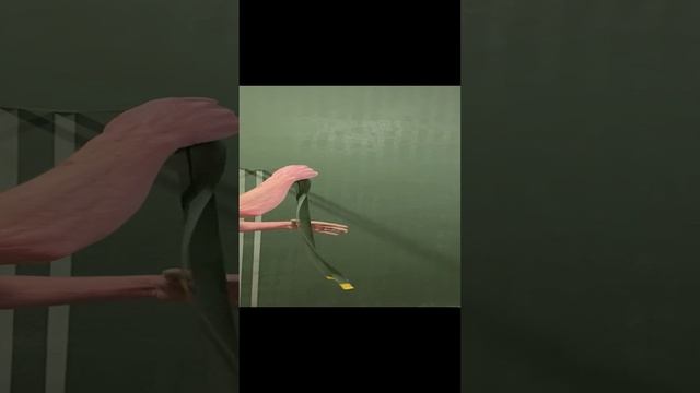 Немного зелени вместо Елки😊