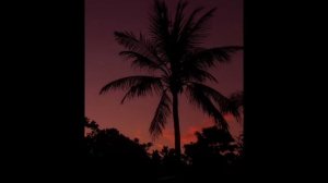 MIYAGI Моя Бейба Анаконда