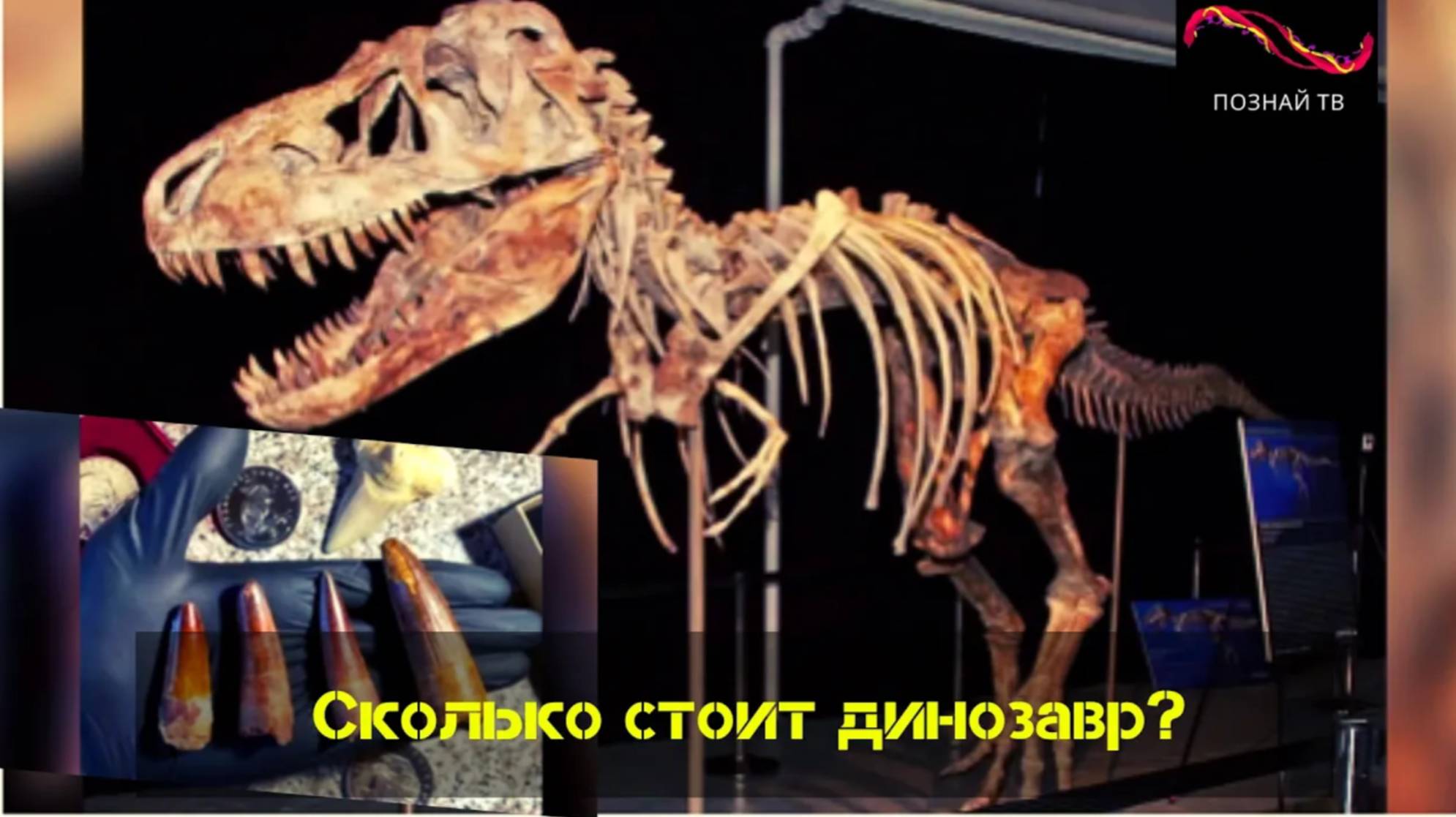 Сколько стоит динозавр? смотреть онлайн