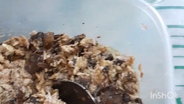 блины с курицей и грибами смотреть онлайн