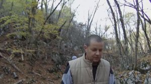 Карадагский Лес