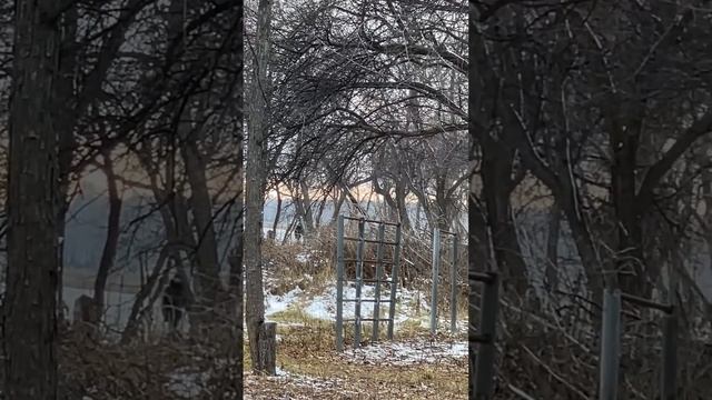 Квадроберы Тюкалинск #квадробика #квадроберы #тюкалинск смотреть онлайн