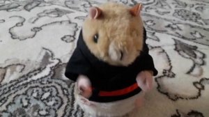 Кунг - Фу хомяк оригинал Gemmy Kung fu hamster из США