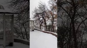 1000004182.mp4 💫Уфа❤, 8 января 2025 год❄️🎄❄️✌️😎🥳,парк им.Салавата Юлаева