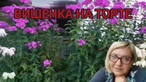 ВЫ ЭТО ВИДЕЛИ? ОЛЬГА УРАЛОЧКА LIVE. ОБЗОР.