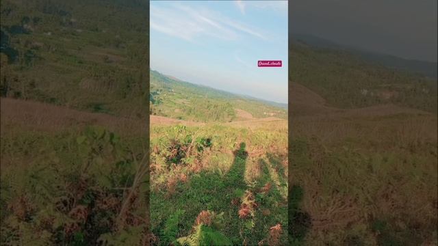 இயறகயன கதலன godsowncountry kerala trending trending automobile modeloftheday dubai