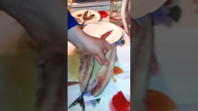 Разделена рыбы на примере скумбрии