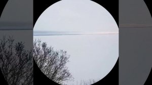 Я узнал что у меня,есть огромная семья.