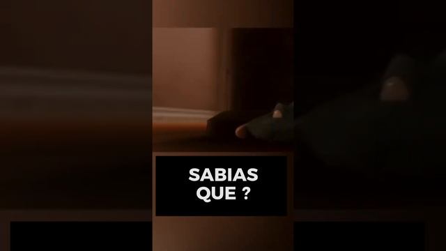 ¿ Sabias que ? en RATATOUILLE #shorts #peliculas #disney