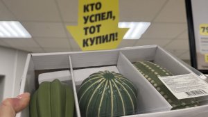 ЧИЖИК | НОВЫЙ ЗАВОЗ