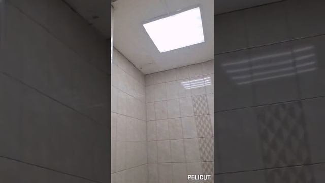 Переделали, окультурили электропроводку в офисных помещениях.