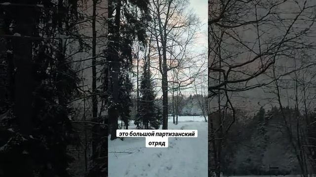 Задорнов о Беларуси!