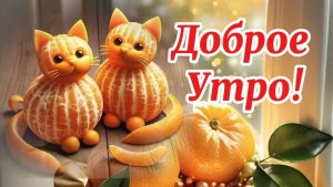 Доброе утро. Доброе зимнее утро! Мандариновое настроение