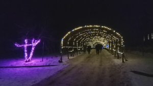 Князево. Вознесенское подворье 7.01.2025г.