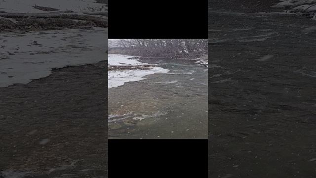 Донгарон 2024/Клуб"АРС"Донгарон/