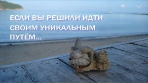 Если ВЫ решили идти СВОИМ Уникальным Путём, будьте готовы идти ПРОТИВ течения! (с)