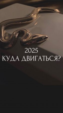 2025 куда двигаться?