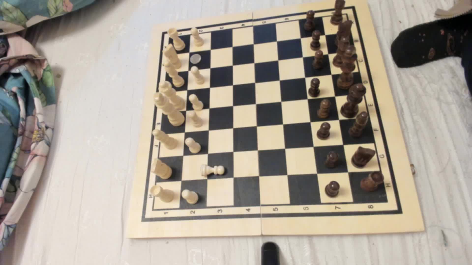 Играем в шахматы и шашки
