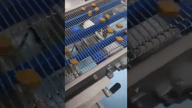 Автоматическая многоформовочная машина для производства таблеток с пищевыми добавками или котлет дл смотреть онлайн