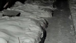 РОЖДЕСТВЕНСКИЕ ВСТРЕЧИ ДЮШИ И НЮСИ