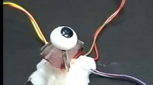 Electroactive Polymer (EAP) eye