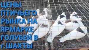 🔥🔥🔥 Цены птичьего рынка на ярмарке голубей в г.Шахты.