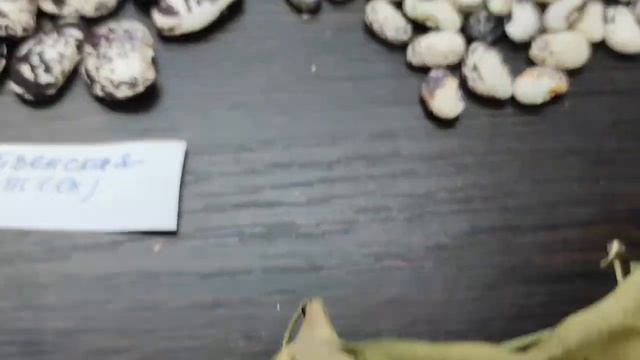 Обзор лимской фасоли смотреть онлайн