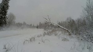 ТЕСТ 8.01.25 МУРАДЯН-ЩЕРБАКОВ