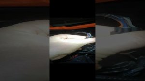 Arctic cat 650 2V как устранить ошибку BELT