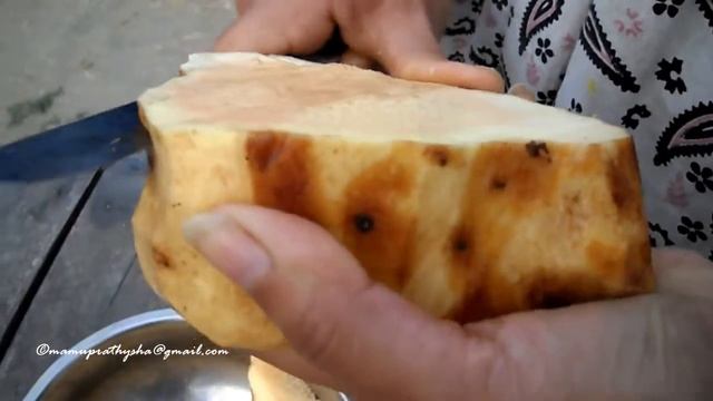 Anti-ageing plant & hormones balancer -- Yam - কাঠ আলু - एंटी एजिंग प्लांट