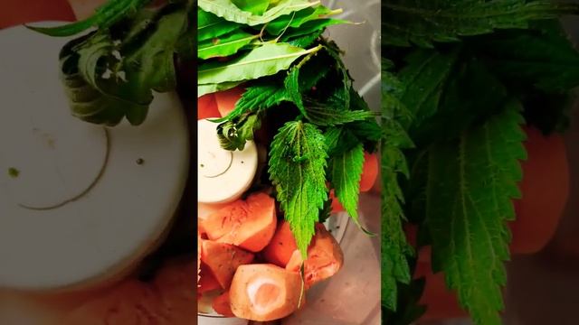 Здоровый салат с лесными травами. Рецепт #сыроед смотреть онлайн