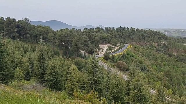 #местосилы #рассказ Рассказ Похороны " Я не могу" Чак Мурман смотреть онлайн