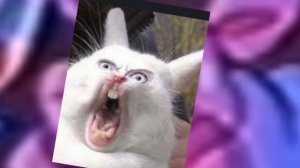 Улыбающейся Мрази/Улыбающейся Твари(RYTP)