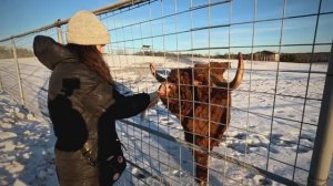 Зоопарк-экспресс, серия 3, Карельский зоопарк