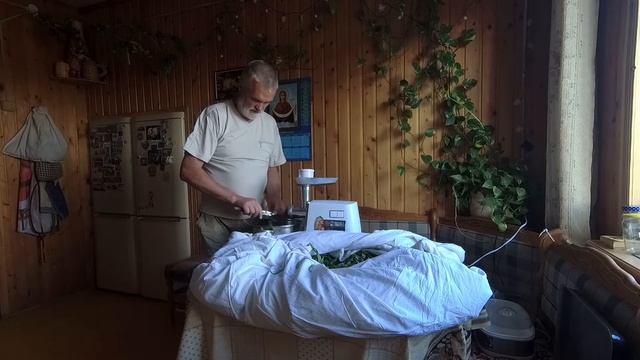 Иван чай. Заготовка иван чая. Ферментация иван чая.