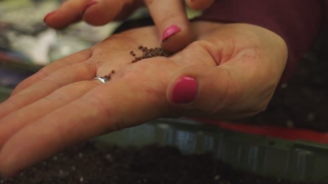 ДАЧНА АКАДЕМИЯ.  ВИТАМИНЫ ДЛЯ КУР.  РАССАДА. СНЕГОУБОРЩИК 40 ИЛИ 60 ВОЛЬТ? смотреть онлайн