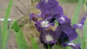 С Днем Рождения Екатерине