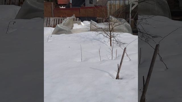 зима ушла и теплицу унесла смотреть онлайн