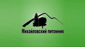 Рекламный блок ТНТ Магнитогорск 30.05.2023