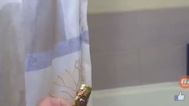 Жэлейный медведь Валера и медвекопилка