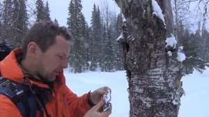 Шутка про добывание пропитания зимой на северном Урале