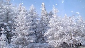 Вьюга белая… Николай Баданин