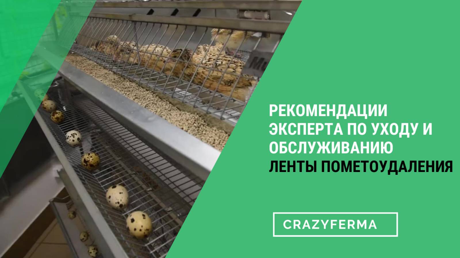🎥Лента пометоудаления – все, что нужно знать о ней. Клетки для птиц серии "Multipro" смотреть онлайн
