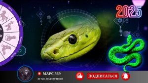 КИТАЙСКИЙ ГОРОСКОП НА 2025 ГОД ПО ГОДУ РОЖДЕНИЯ / ВОСТОЧНЫЙ  ГОРОСКОП 2025 ГОД