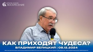 Как приходят чудеса? - Владимир Белицкий | 08.12.2024