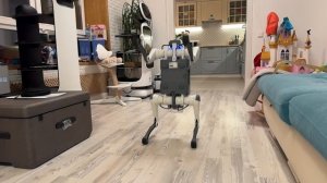 Робособака Deep Robotics lite3 делает сальто назад