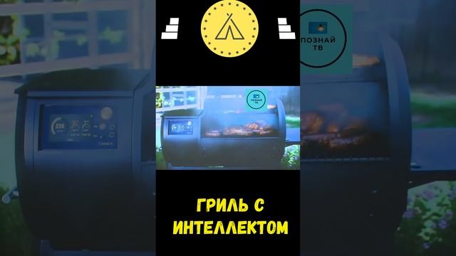 Гриль с Интеллектом  #интересно #познайтв #news